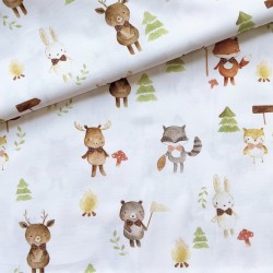 Corona MOUNTAIN animals