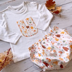 Conjunto Osos y Ardillas