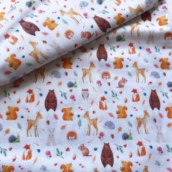 Conjunto Osos y Ardillas